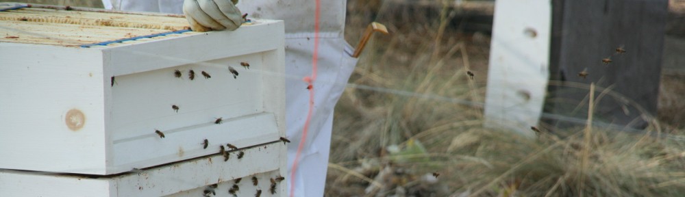 Okanagan Bee Farm